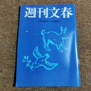 週刊文春 2020年12月3日号　宇垣美里