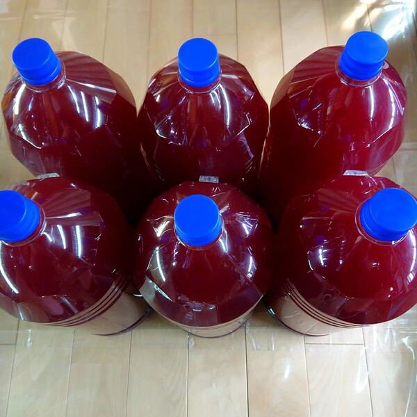 【20L】濃縮 PSB 光合成細菌 バクテリア 精製水使用 高品質 お徳用 コック付き
