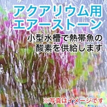 エアーストーン 2個　酸素　アクア用品　エアストーン　水槽　ぶくぶく　熱帯魚　金魚　メダカ　エビ　ポンプ　エアーチューブ_画像2