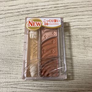 セザンヌ トーンアップアイシャドウ 09