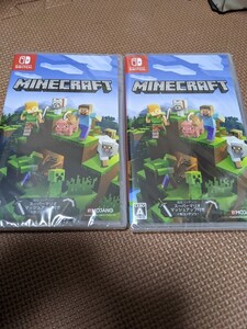 マインクラフト Minecraft Nintendo Switch ニンテンドースイッチ 追加コンテンツ付き 2本