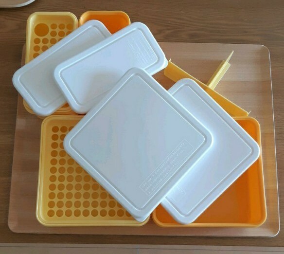 お弁当箱 家族用 ピクニック キャンプ 運動会 専用保冷バック付
