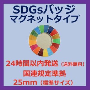 SDGsカラーホイールバッジ　マグネットタイプ
