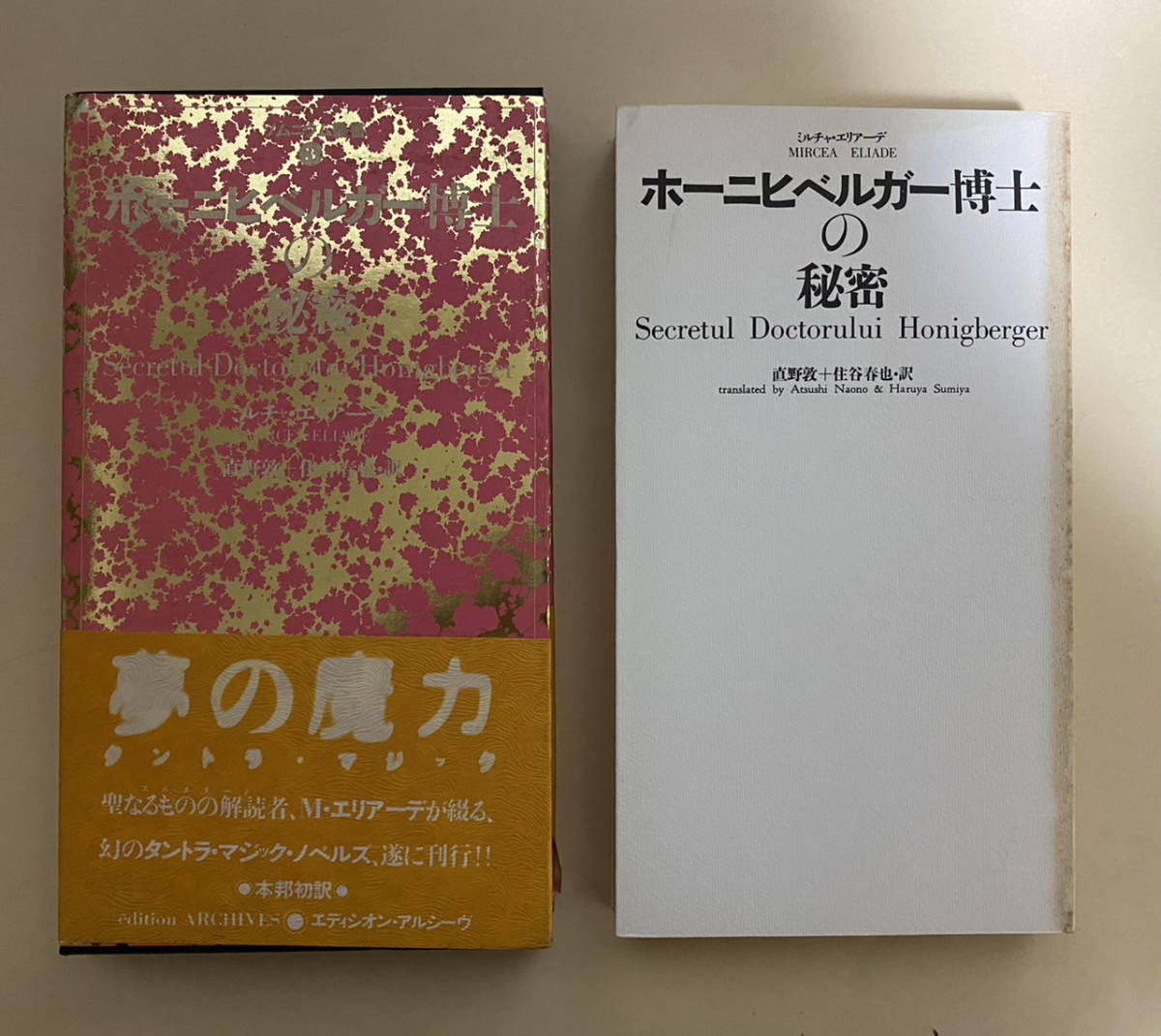 「REV 創刊号」 表紙デザイン＝ 羽良多平吉 - covid19.ins.gov.mz