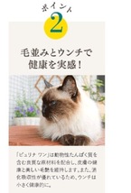 ピュリナ ワン キャットフード 成猫用(1歳以上) 室内飼い猫用 インドアキャット サーモン 4.4kg(400g×11袋入)_画像3