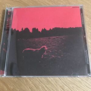 HELL-SEE Syrup16g CD【送料込】