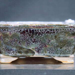 浜重兵衛 盆栽鉢 奥行9.3cm 横幅10.9cm 高さ4.7cm