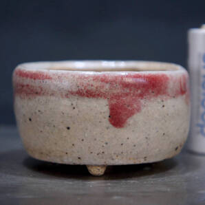 せいこ 盆栽鉢 直径6.5cm 高さ3.6cm