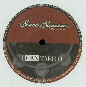 Theo Parrish I Can Take It　ヘヴィーウェイトスローファンク！！かっこいい！