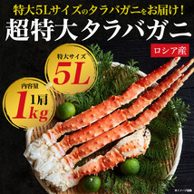 【蟹脚 特大】 ボイル タラバガニ　5Lサイズ　(1肩 1kg)■ 茹で蟹 しゃぶ鍋 海鮮食材 足 たらばがに 身入り■ 急速冷凍保存 冷凍配送_画像2