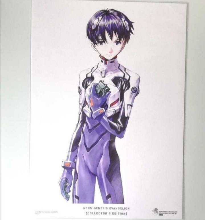 専門店では 即決 新品未使用 新世紀エヴァンゲリオン ミストグラフ 本田雄作画監督サイン入り 初回限定 複製原画 真希波 マリ イラストリアス その他 Labelians Fr