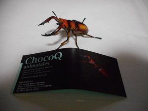  chocolate Q japanese animal * no. 8.*tokala Prosopocoilus inclinatus ( orange type )*207b