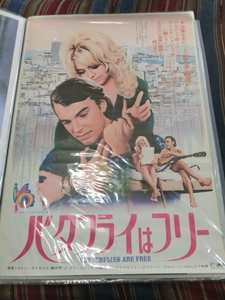 ★即決 Butterflies Are Free ポスター 1972年 米映画 ゴールディ・ホーン Goldie Hawn Edward Albert Eileen Heckart Paul Michael Glaser