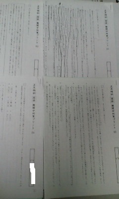 サピックス SAPIX*6年 小6*正月特訓*国語/難関中 対策プリント*全4回 完全版*2021年受験