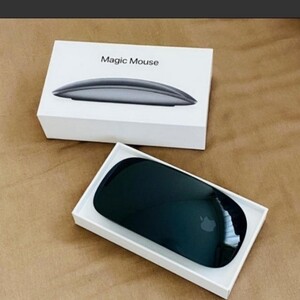 APPLE MAGIC MOUSE 2 アップルマジックマウス スペースグレイ