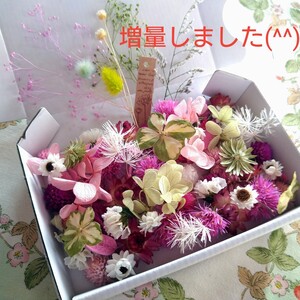ドライフラワー&プリザーブドフラワー☆花材詰め合わせBOX