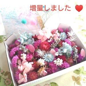 ドライフラワー&プリザーブドフラワー☆花材詰め合わせBOX