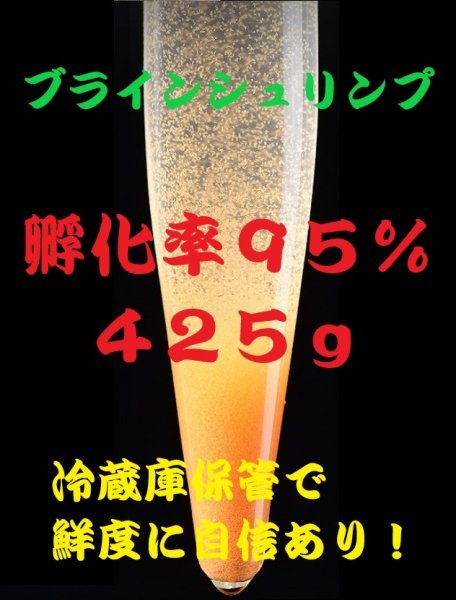 1275g ブラインシュリンプエッグ 超細卵 チャック付アルミ袋に小分け 中国渤海湾産 鮮度に自信あり Brandsynariourdu Com 1275g ブラインシュリンプエッグ 超細卵 チャック付アルミ袋に小分け 中国渤海湾産 鮮度に自信あり Brandsynariourdu Com