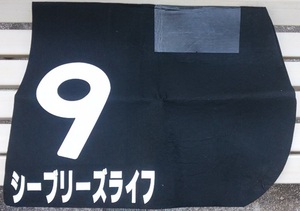 JRA Hanshin jubena il Filly z horse .G1 horse Circle ob life . sheave Lee z life horse racing race actual use number Ad my ya Japan 