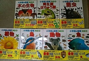 * Shogakukan Inc.. illustrated reference book *NEO*7 pcs. *CD unopened attaching *