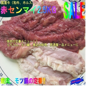 プロ用「国産赤センマイ2.8kg位」九州産牛（和牛、ホルス）、焼肉・BBQに、もちろんモツ鍋最高！！