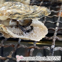 【グルメマートJAPAN】産地直送 北海道厚岸産 殻付き生牡蠣 マルえもん [2L(120g～150g)] 10個セット_画像5