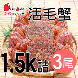 【かにのマルマサ】活蟹専門店 北海道産 活毛ガニ1.5キロ詰3尾セット