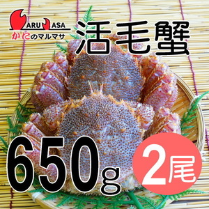 【かにのマルマサ】活蟹専門店 北海道産 特大活毛ガニ650g 2尾セット