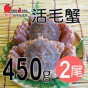 【かにのマルマサ】活蟹専門店 北海道産 活毛ガニ450g 2尾セット
