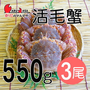 【かにのマルマサ】活蟹専門店 北海道産 活毛ガニ550g 3尾セット
