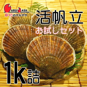 【かにのマルマサ】お試しセット 北海道産 活ホタテ貝 1キロ詰