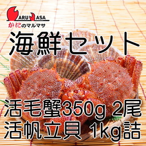 【かにのマルマサ】北海道産 活毛ガニ350g 2尾 活帆立貝1キロ 海鮮ギフトセット (G)