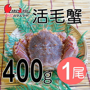 【かにのマルマサ】活蟹専門店 北海道産 活毛ガニ400g 1尾セット