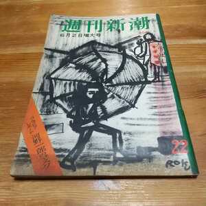 昭和レトロ 古い週刊誌 週刊新潮 22 昭和 33年 1958年 6月2日 増大号 河野一朗のマスク 横浜港百年祭 渡辺美佐子