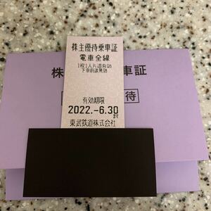 東武鉄道 株主優待乗車証 乗車券 2022-6-30