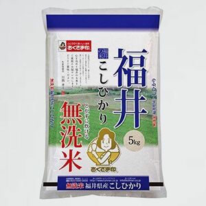 新品 未使用 無洗米 【精米】福井県 X-NG 5kg 令和3年産 コシヒカリ