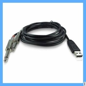 【期間限定】　21 ベリンガー USB 2 LINE ステレオ・ラインソース専用USBオーディオインターフェース・ケーブル 207