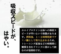 ◎【送料無料】 ホエイプロテイン ココア 1kg ホエイ プロテイン ダイエット 筋肉 アミノ酸 スコア100 タンパク質 運動 トレーニング 2680_画像5