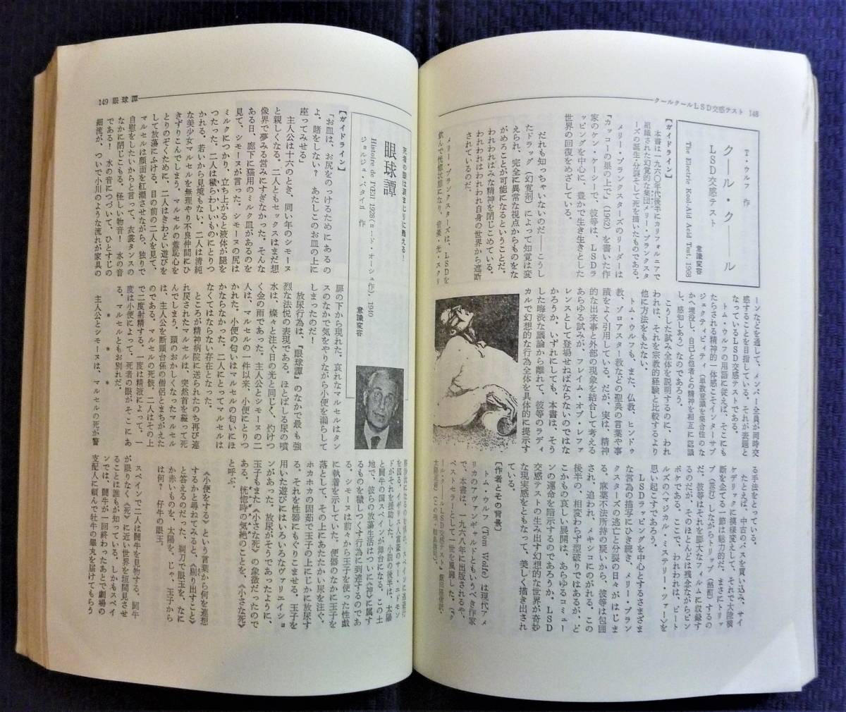 絶版貴重書籍○初版第一刷】 世界のオカルト文学幻想文学総解説