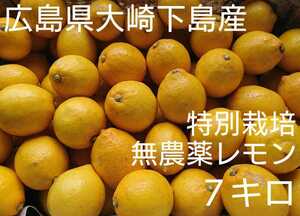 無農薬！広島県大崎下島産 特別栽培レモン 7キロ