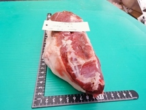 福岡産天然猪肉　モモ　（16）　オス　650ｇ_画像5