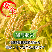 c【新米特別セール】最高品質＆減農薬こしひかり10㎏半額以下、送料無料、消費税込！美味しい、精米、玄米、無洗米OK！激レア品、限定品！_画像7