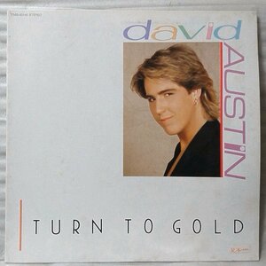 DAVID AUSTIN TURN TO GOLD★ 国内見本盤 プロモ 80s ★アナログ盤 [4267RP