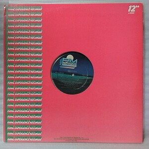 ★★DORIAN MADNESS ★US盤 12インチ 1987年リリース ★アナログ盤 [1231RP