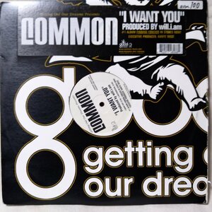 COMMON I WANT YOU ★ 2007年リリース 12インチ ★ アナログ盤 [9171RP