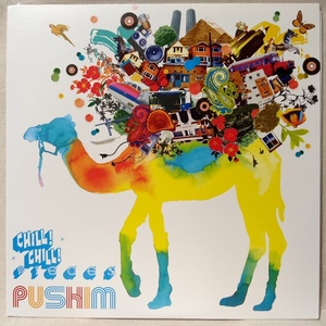 PUSHIM CHILL CHILL PIECES ★ 2003年リリース ジャパレゲ ★ 全5曲収録 ミニアルバム ★ 盤面良好 ★ アナログ盤 [6691RP