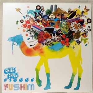 PUSHIM CHILL! CHILL! ★ 全5曲収録 ★ アナログ盤 [9688RP