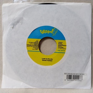 SHEVEL FRANKLYN LOOK TO THE SKY / ROOTS VERSION ★ レゲエ ★7インチレコード[7101EP