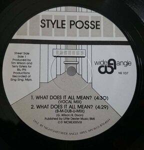 ★★STYLE POSSE WHAT DOES IT ALL MEAN★オールドスクール! 12インチ[653GP***