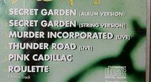 BRUCE SPRINGSTEEN SECRET GARDEN★1995年リリース [1701CDN_画像3